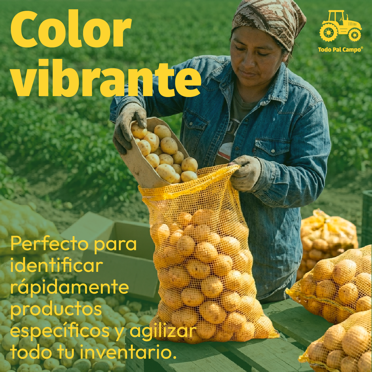 10 Pzs Arpilla Amarilla Polipropileno 55x102 Para Verduras
