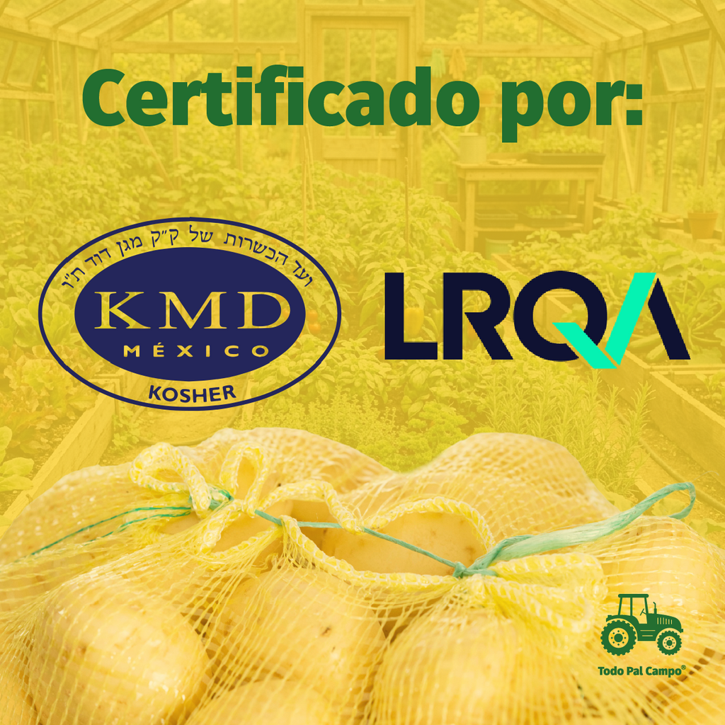 10 Pzs Arpilla Amarilla Polipropileno 55x102 Para Verduras