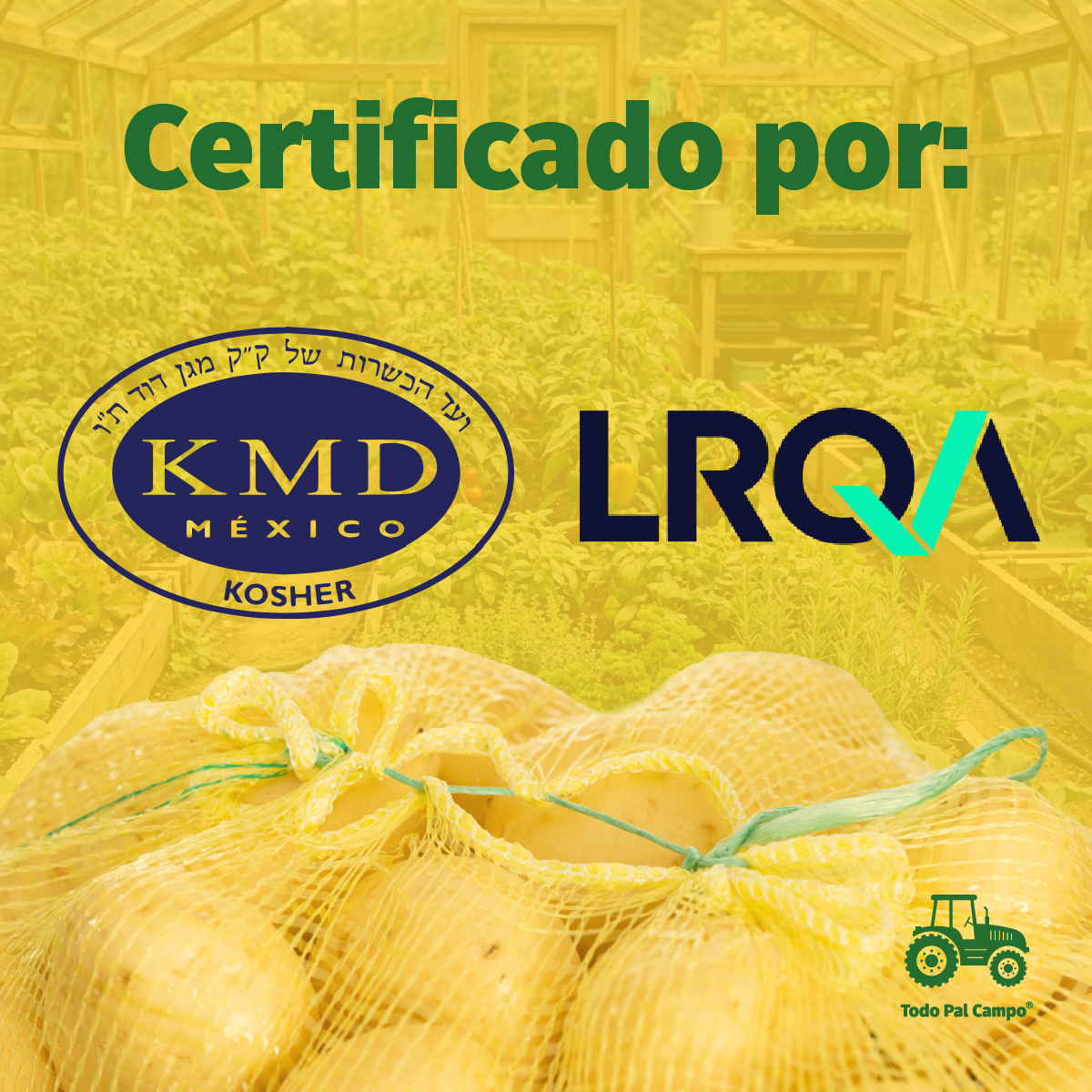 10 Pzs Arpilla Amarilla Polipropileno 55x102 Para Verduras
