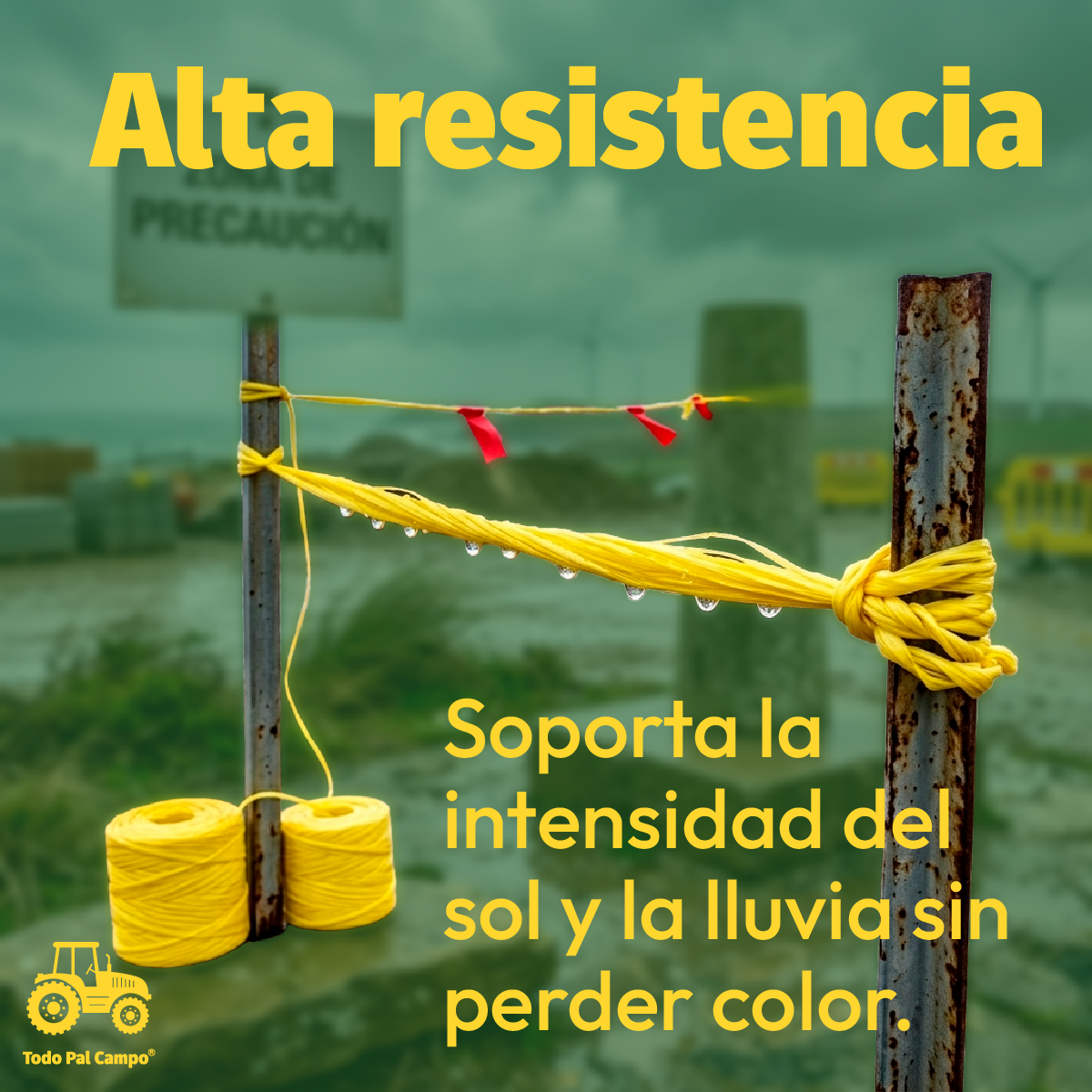 Rafia Fibrilada Color Amarillo 1kg Hilo Manualidades Cal. 2
