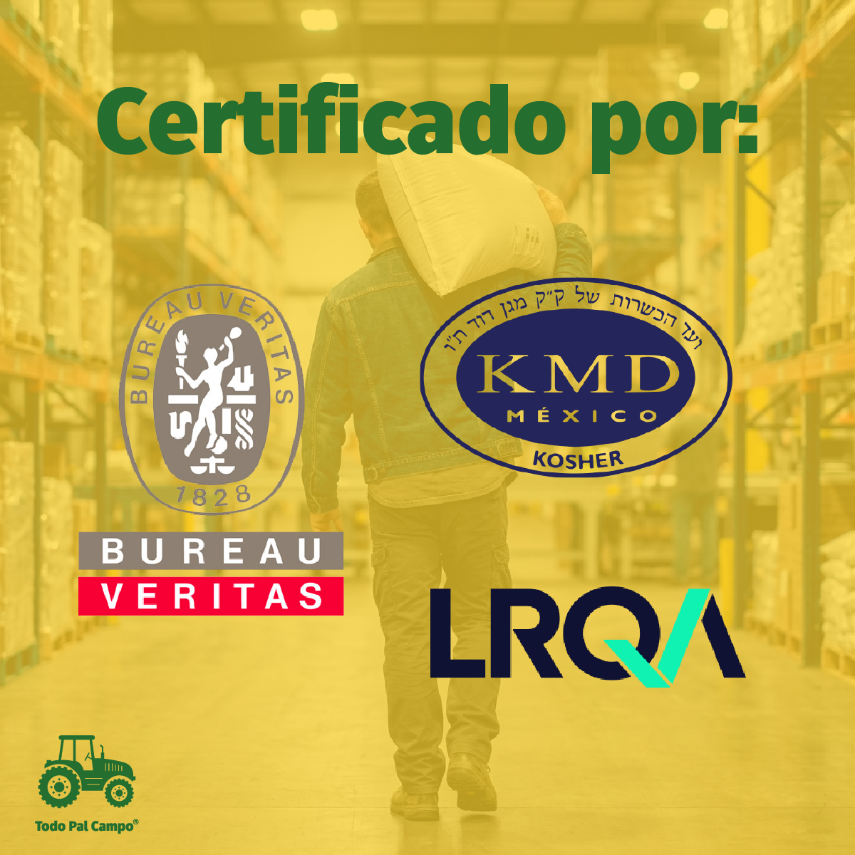 10 Pack Saco 54x100 Ecológico Grado Alimenticio E Inocuo Ecológico