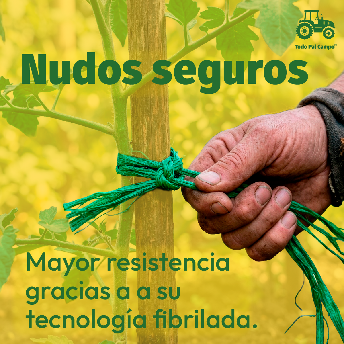 Rafia Fibrilada Verde Bandera Hilo Rollo De 500 Gr Cal. 2 Gr